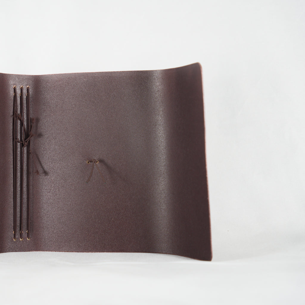 Classic Trifold — Extended Lip