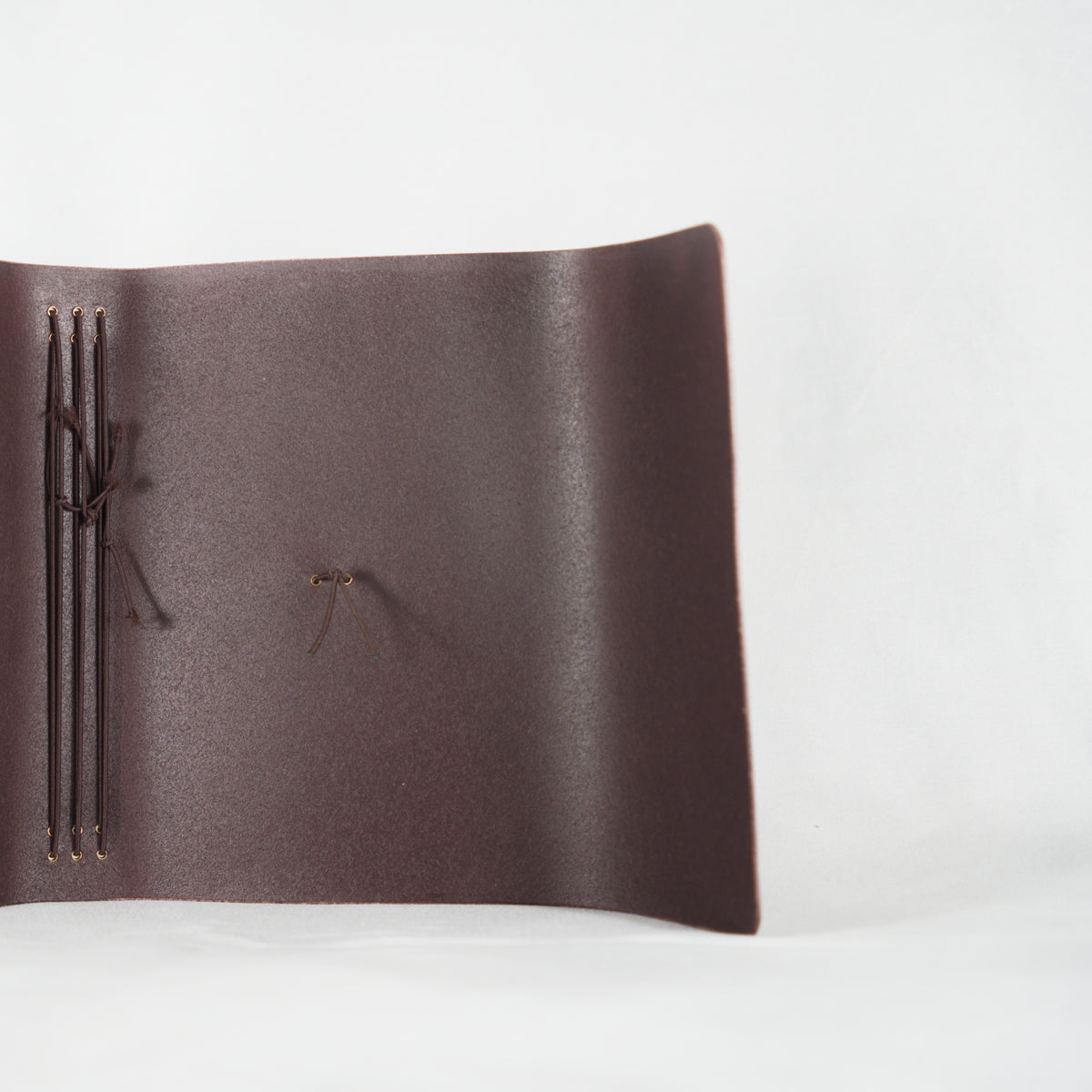 Classic Trifold — Extended Lip