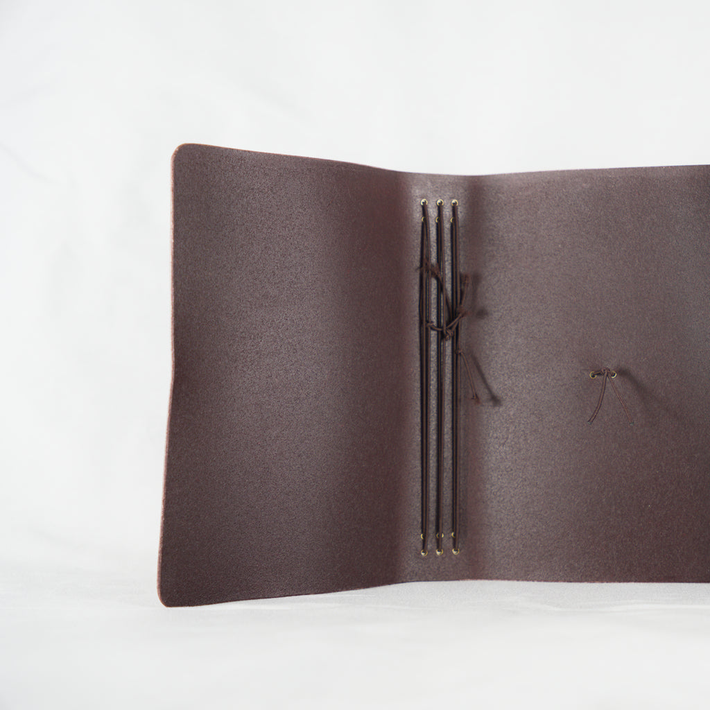 Classic Trifold — Extended Lip